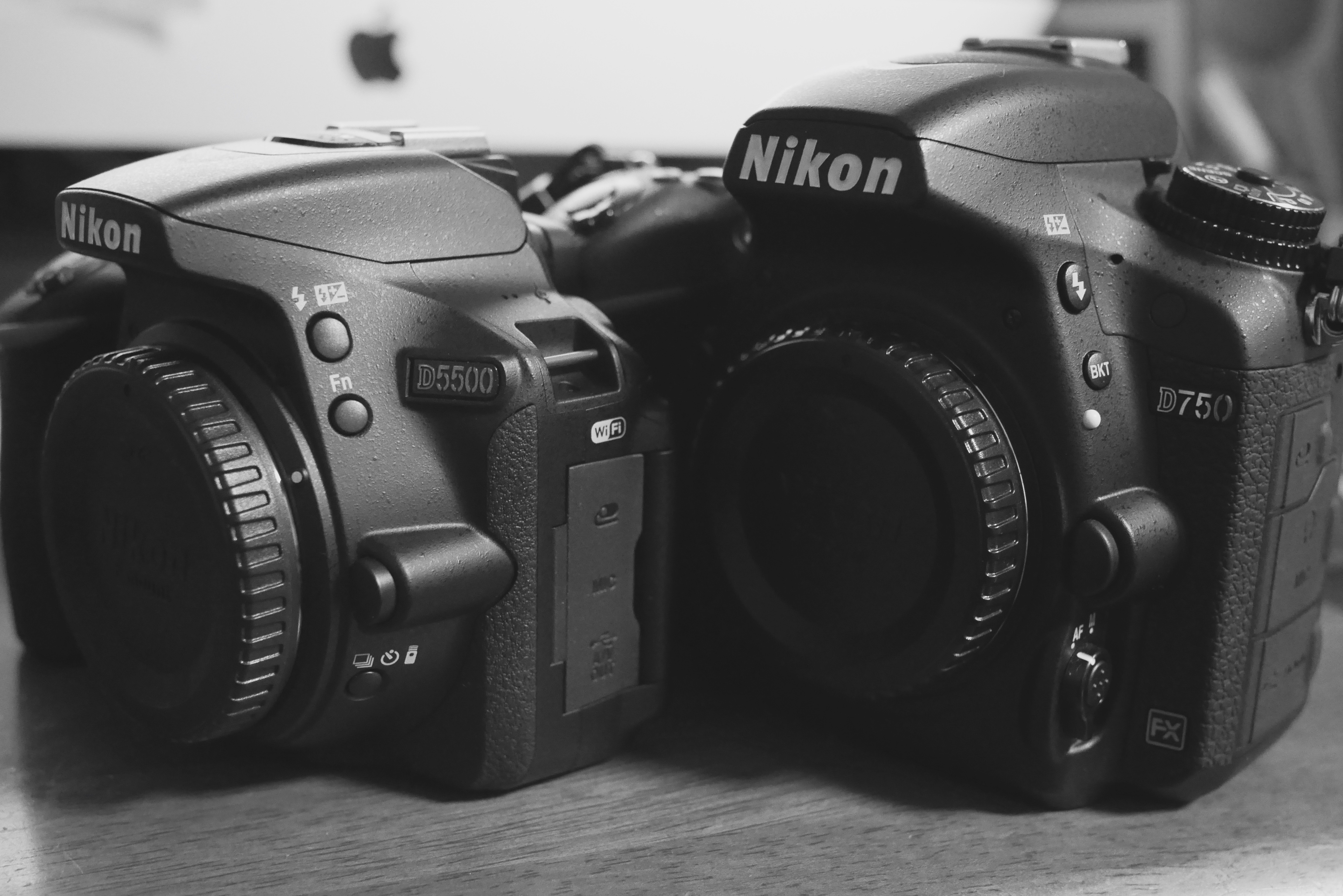 NIKON D5500…ミラーレスの代わりになる？