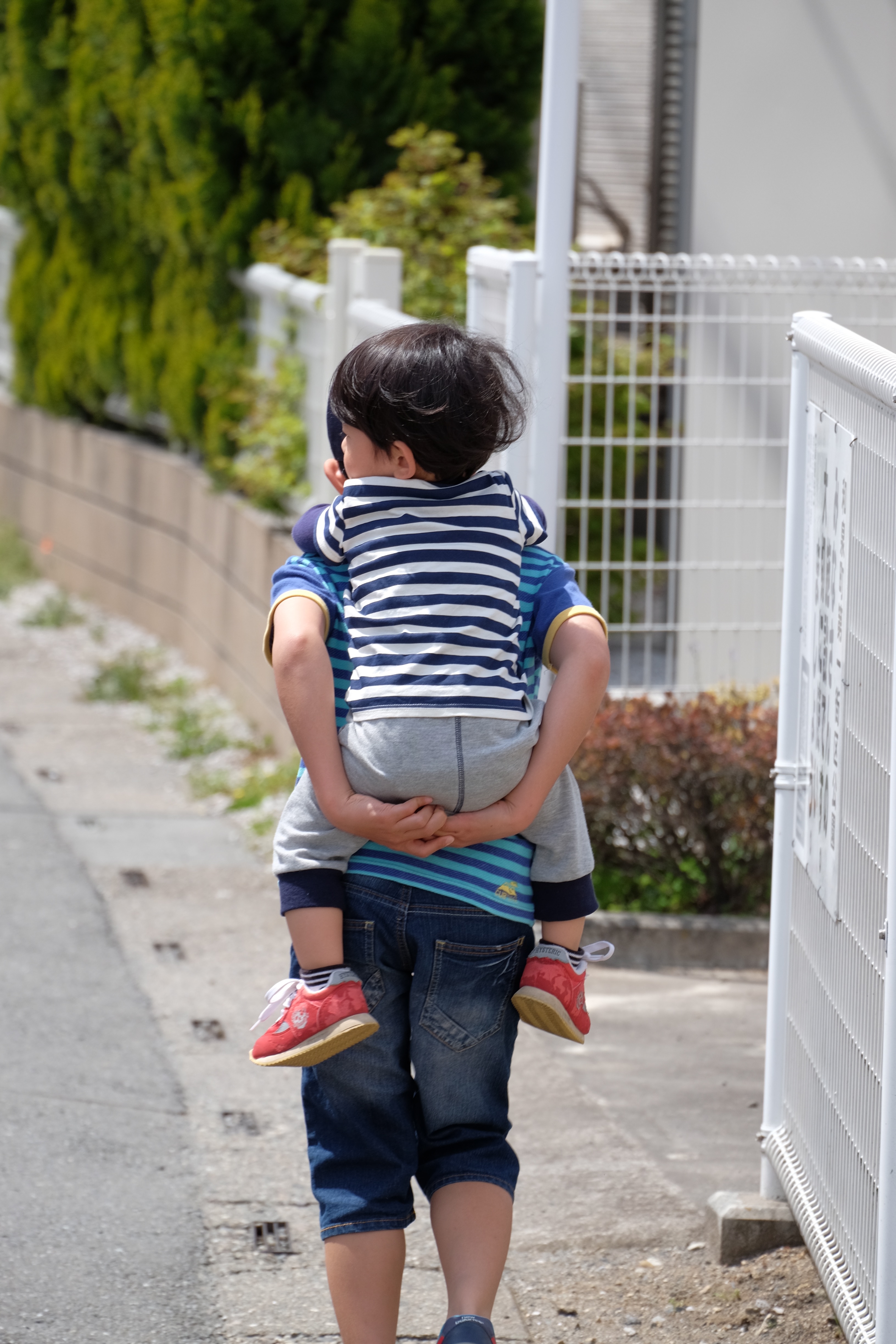 FUJIFILM XC50-230mm f4.5-6.7 OIS IIと春の散歩。