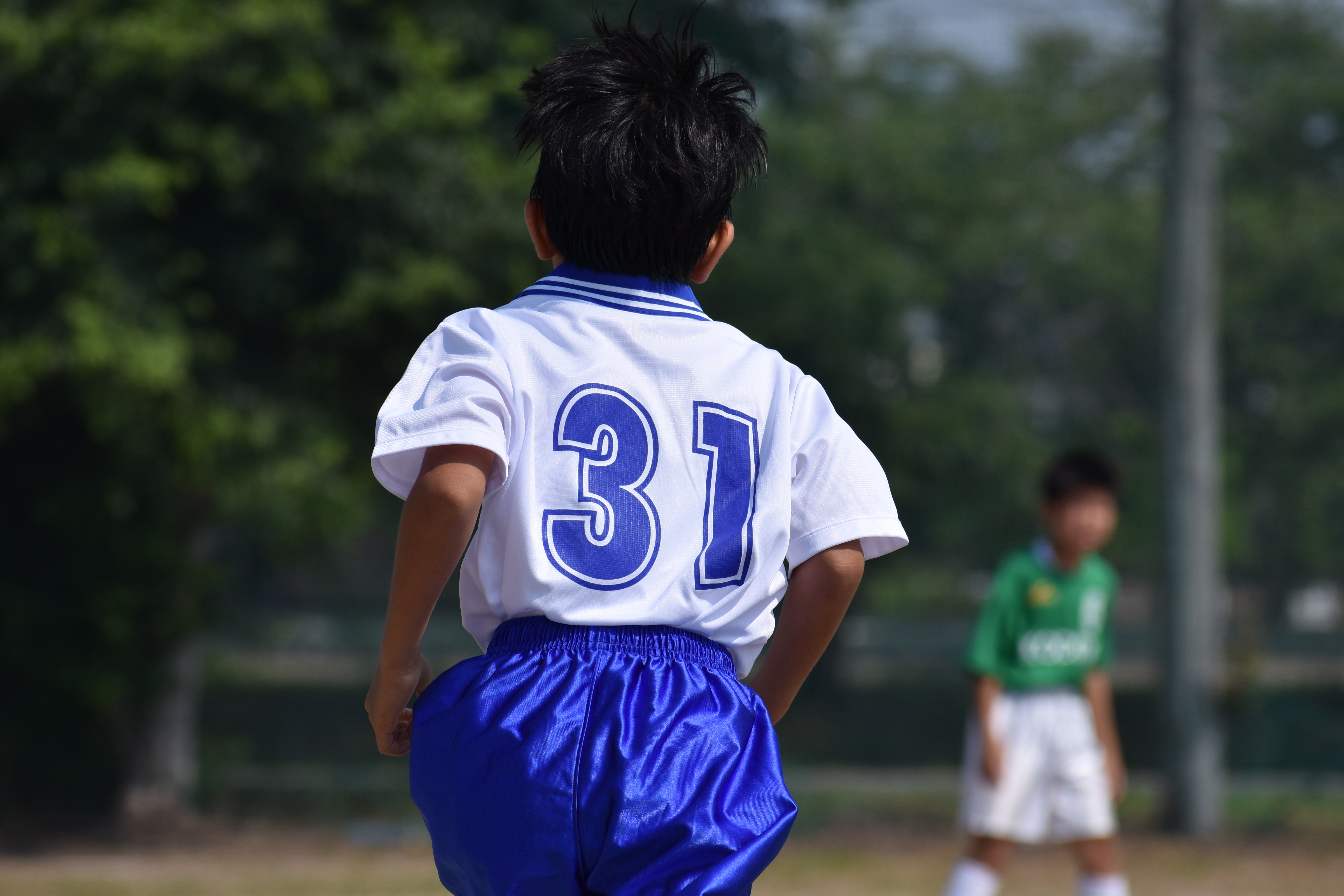 NIKON AF-P DX NIKKOR 70-300mm f4.5-6.3G ED VR…軽くて安くてよく写る。