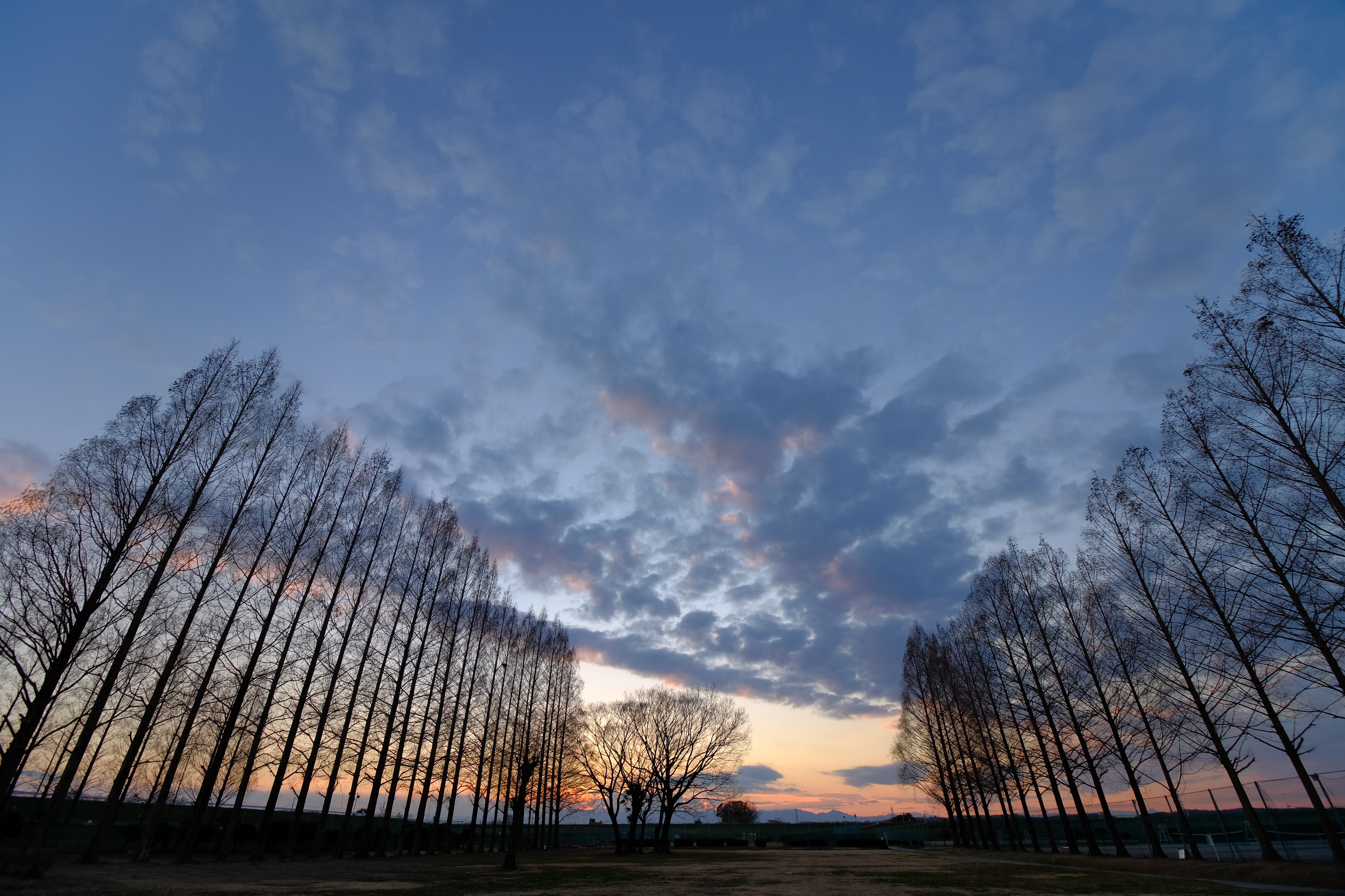 Fringer FR-FX1＋EF-S10-18mm f4.5-5.6の続き。