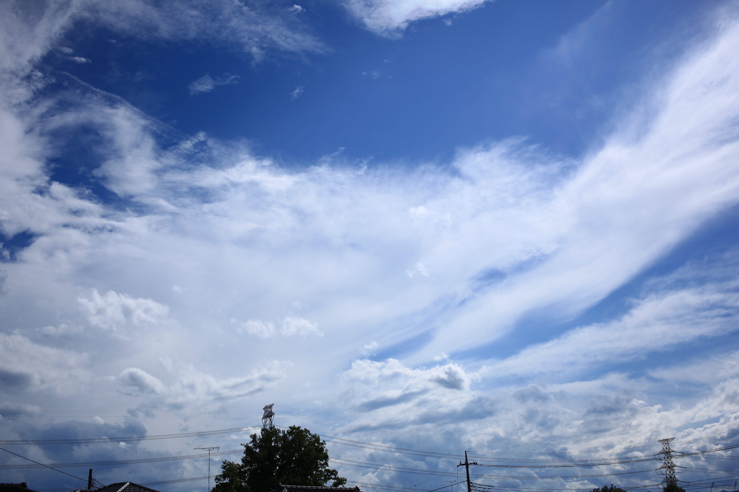 いまさらながらCanon EOS 5D MarkⅡを使ってみた。その2