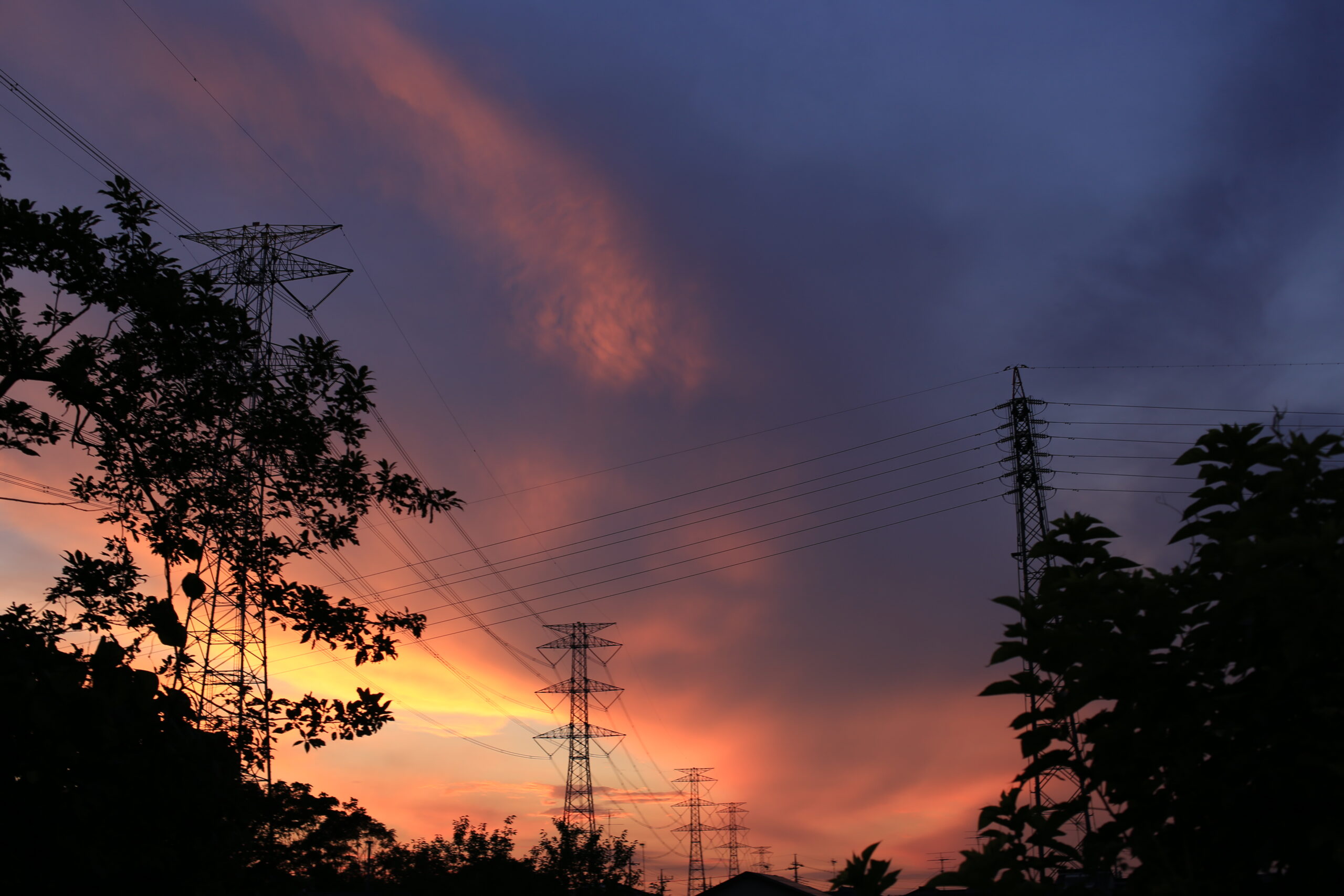 2021年の写真を振り返り。