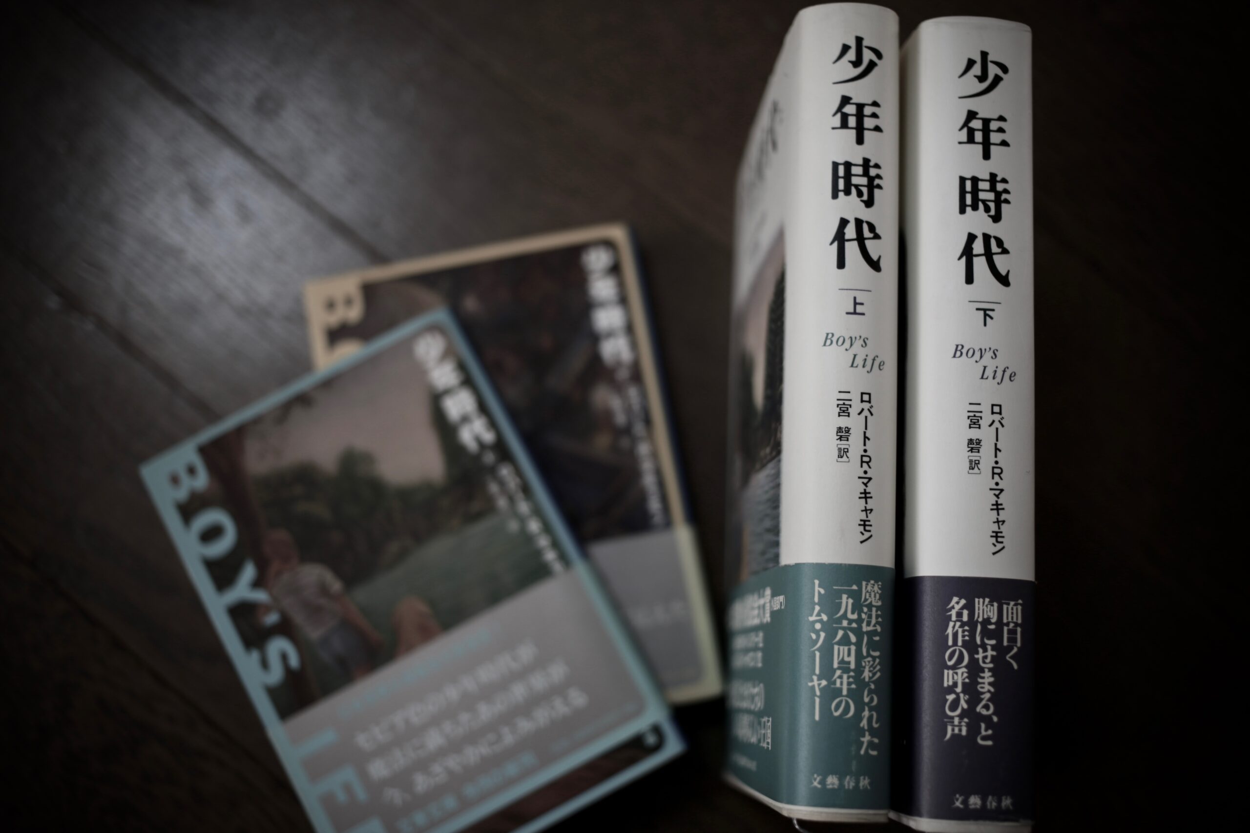 心に響く「少年時代」、『ロバート・R・マキャモン』の傑作。〈今週のオススメ本〉