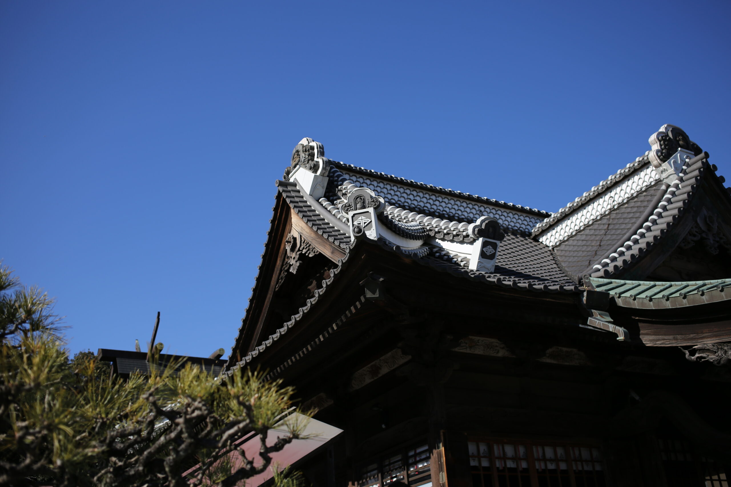 いまさらながらCanon EOS 6Dを使ってみた。〈その4〉